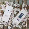 ‹日本線香品牌 ¦ 朝夕› 低煙線香系列 - 櫻花&沉香 40G
